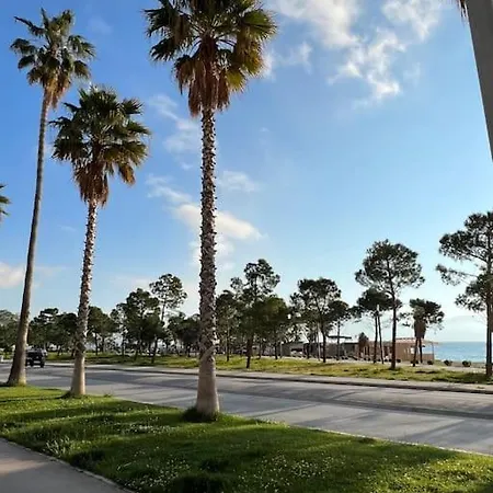 Suite Apartment شقة *